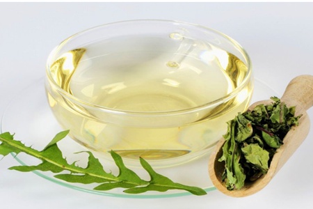 蒲公英茶对妇科炎症的功效，野生蒲公英竟然有这五种作用