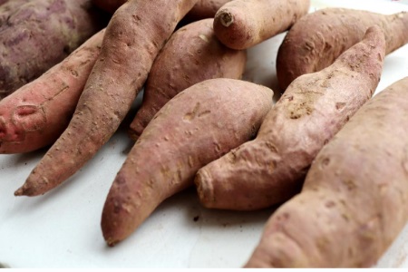 红薯的功效与作用 女性冬至吃红薯焖饭好消化易吸收还不胖