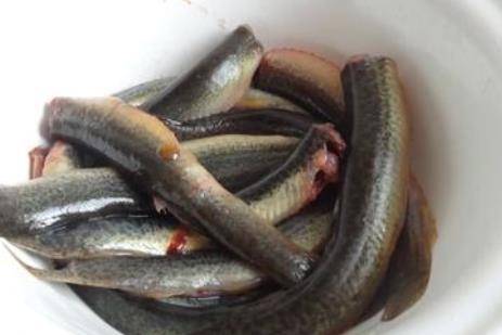 泥鳅的营养价值和功效有哪些 泥鳅怎么做好吃？