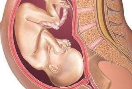 孕妇顺产过程中，宝宝是自己的爬出来的还是母体挤出来的?