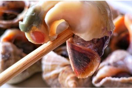 海螺怎么吃保持原味口感好，海螺的四种家常做法