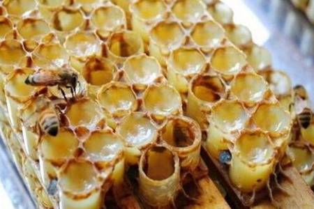 蜂王浆的功效与作用  蜂王浆有什么营养价值可以涂在脸上吗