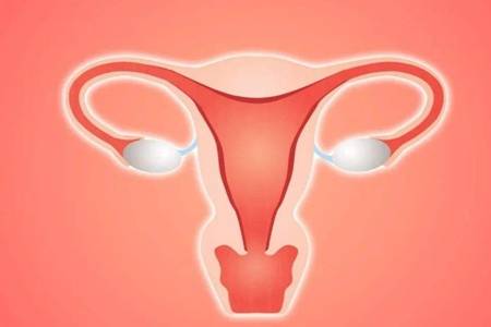 子宫癌是什么原因引起的  女性子宫癌早晚期症状是什么