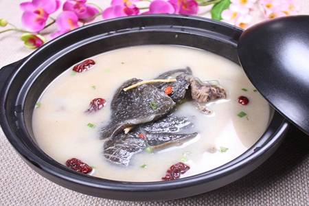 甲鱼汤的做法 甲鱼汤的功效和作用