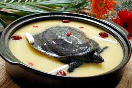 甲鱼汤的做法 甲鱼汤的功效和作用