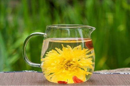 菊花茶的功效与作用 喝菊花茶的禁忌