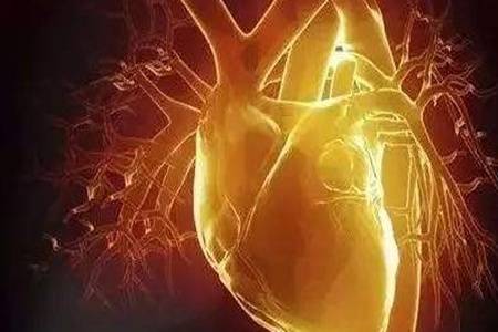 心肌梗死有什么先兆症状是什么原因引起的  心肌梗死最佳的急救方法