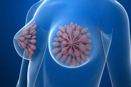 女人乳腺增生怎么调理最好方法是什么  预防乳腺增生的3大方法介绍