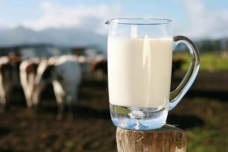 冬天养生喝牛奶 牛奶的功效和作用有哪些