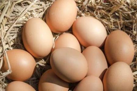 鸡蛋价格为什么暴涨 鸡蛋保质期是多长会不会过期