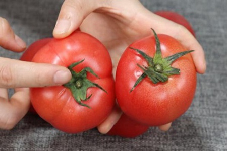 激素西红柿怎么辨别 空腹能吃西红柿不