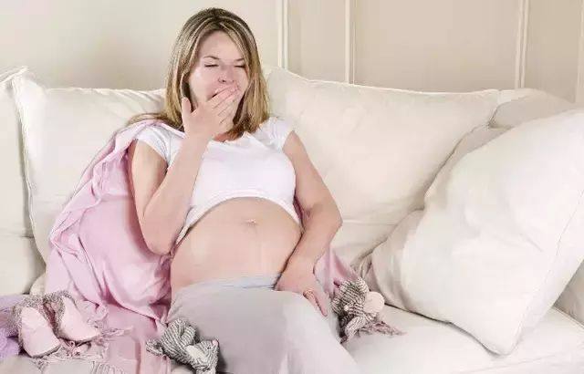 怀孕四个月吃什么好?四个月孕妇的饮食营养搭配法则