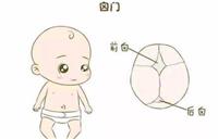 婴儿前卤门和后卤门怎么分 宝宝卤门什么时候闭合才正常？