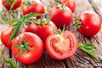 没熟的西红柿能吃吗 西红柿的功效和作用