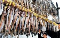 明太鱼是什么鱼 吉林延边的明太鱼怎么做才好吃？