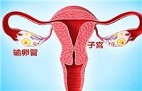 输卵管堵塞有什么样症状 堵塞的原因是什么导致的