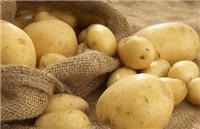 土豆怎么做好吃又简单 最简单的家常炒土豆丝做法介绍