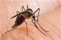 预防蚊子叮咬要做到哪几点 这6类人蚊子最爱有你吗