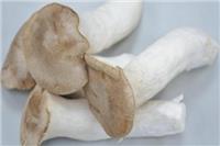 冬季有什么菌菇可以吃 香菇维生素D对抑制肿瘤有用吗