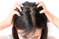 脱发和脾胃有关吗如何防止 脱发的病因、症状及治疗深扒