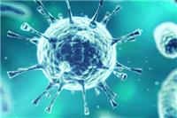 感染新冠病毒有什么症状？这五个症状超过三个警示病情恶化
