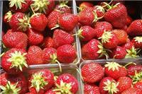 草莓的功效与作用及营养价值？这五个功效明目养肝美容养颜